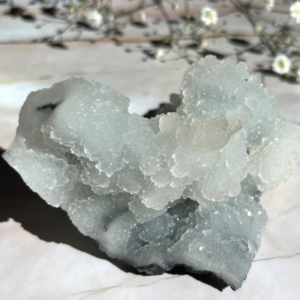 Druzy Sugar Apophyllite